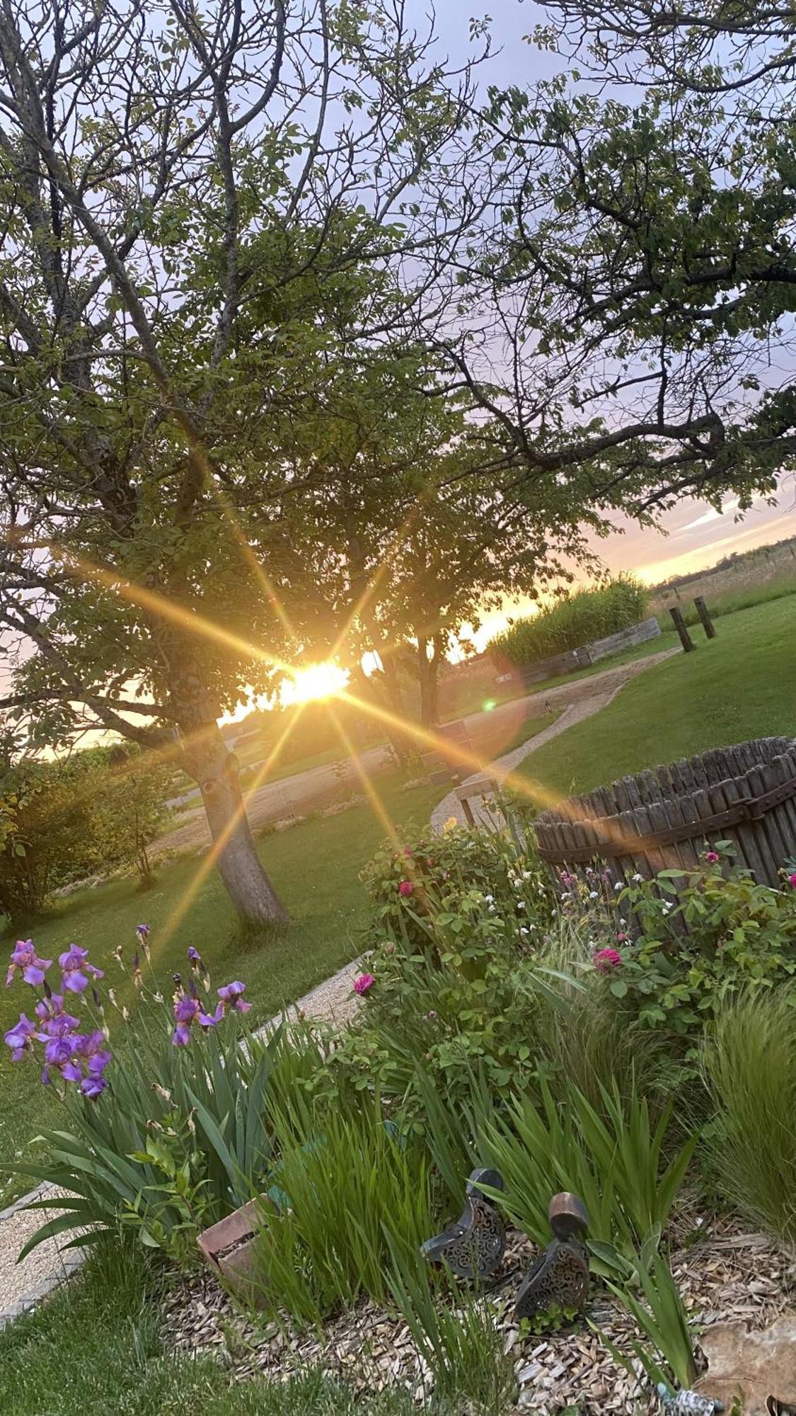 Simples Escales : Gite Nature, Detente Et Sauna Les Rosiers-sur-Loire Luaran gambar